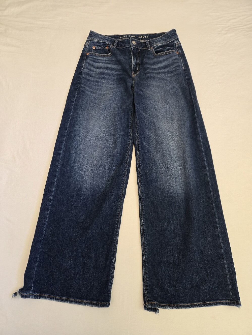 American Eagle Low Rise Baggy Wide Leg Jeans Blue 0